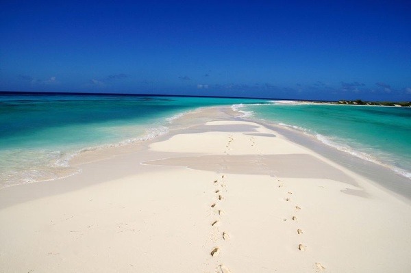 the-best-of-los-roques-beach-travel-destinations
