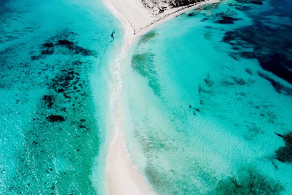 Cayo Madrisqui-Los Roques (