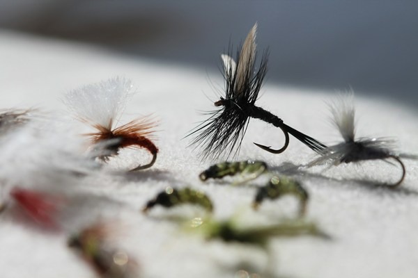 What Fly Fishing Gear Do I Need for Southern Caribbean 4