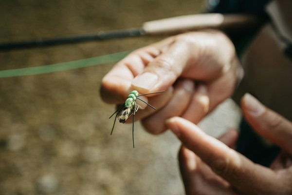 What Fly Fishing Gear Do I Need for Southern Caribbean 5 2